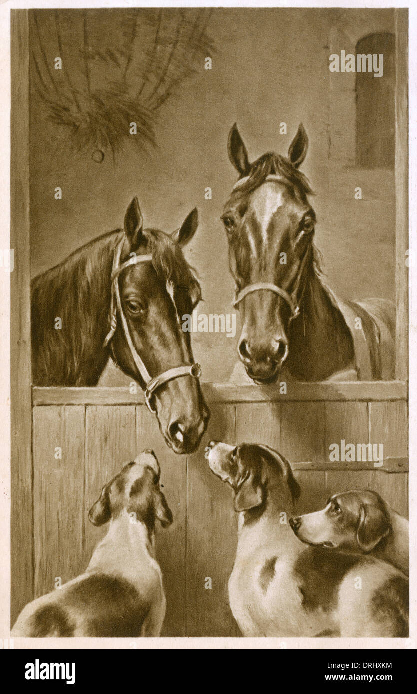 Zwei Pferde und drei Hunde Stockfoto