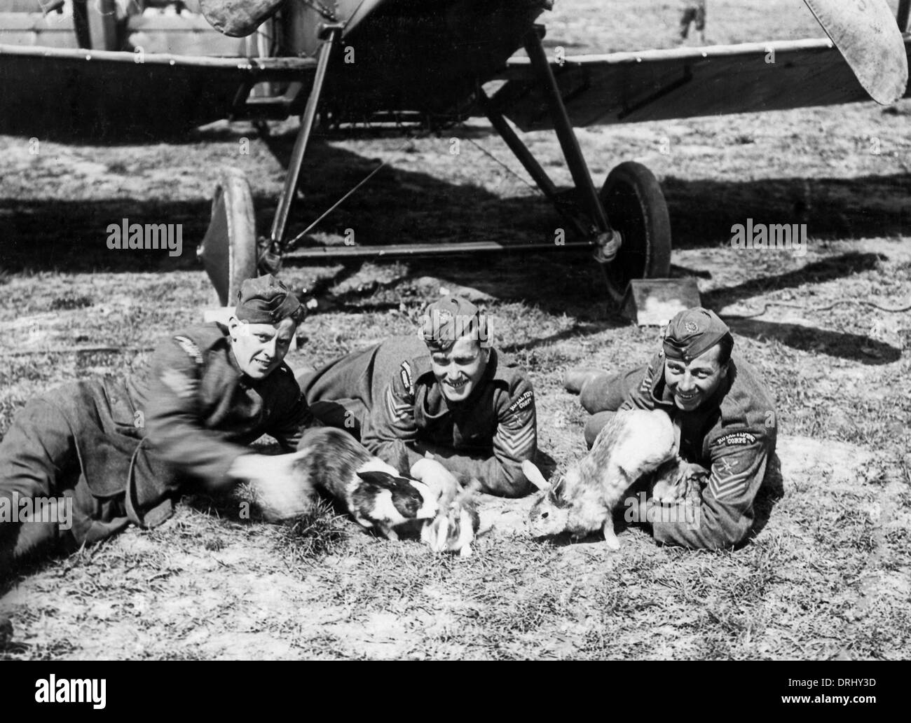 RFC Männer mit Kaninchen, Westfront, Frankreich, WW1 Stockfoto