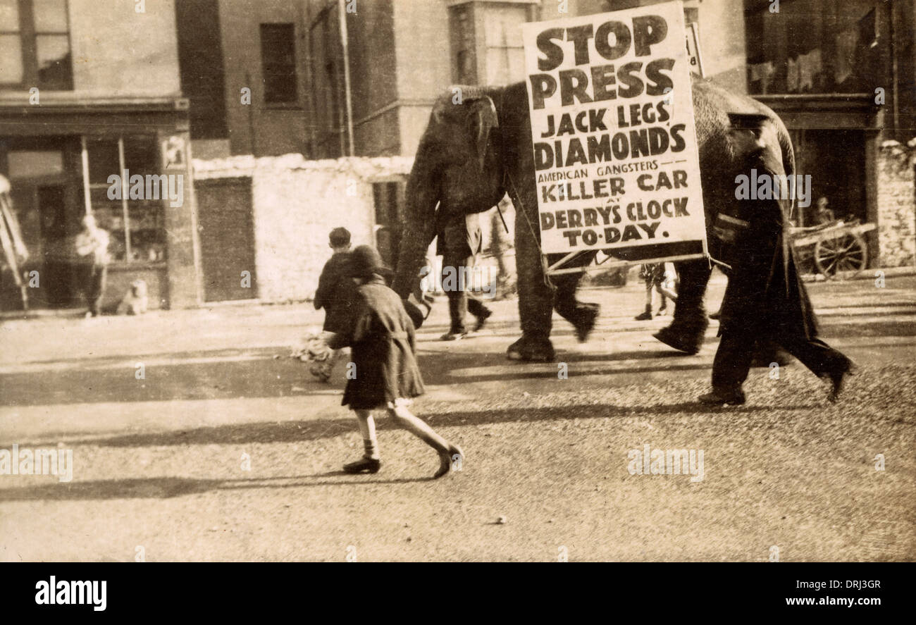 Elefanten und Sandwichplatten - Jack Legs Diamond Stockfoto