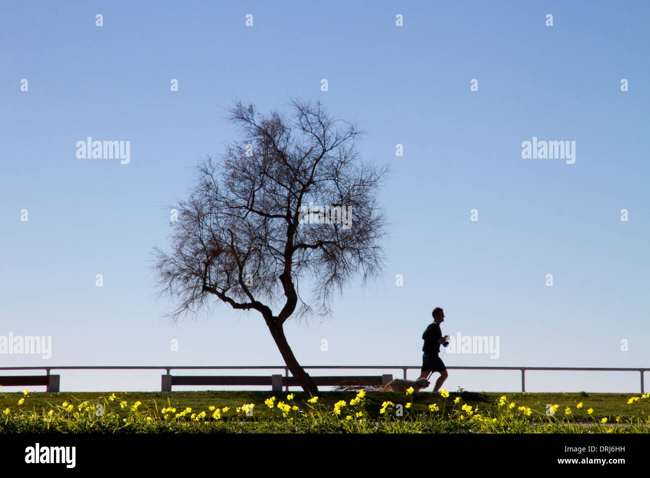 Person Lauftraining Palma De Mallorca-Balearen-Spanien Stockfoto