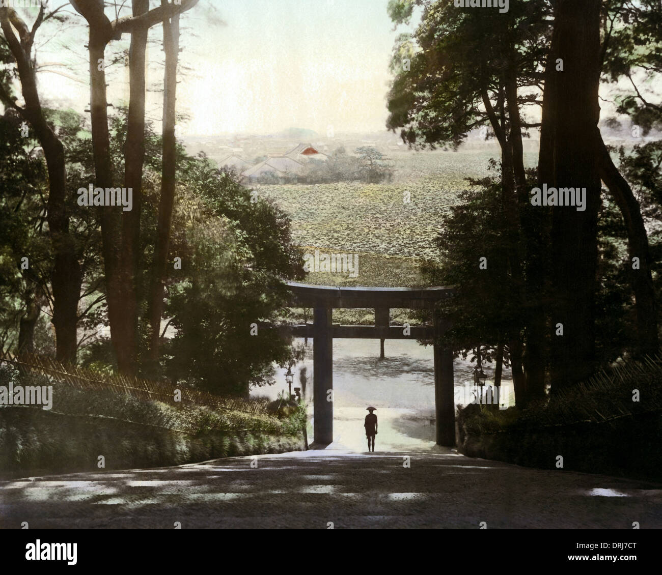 Torii und Park, Japan Stockfoto