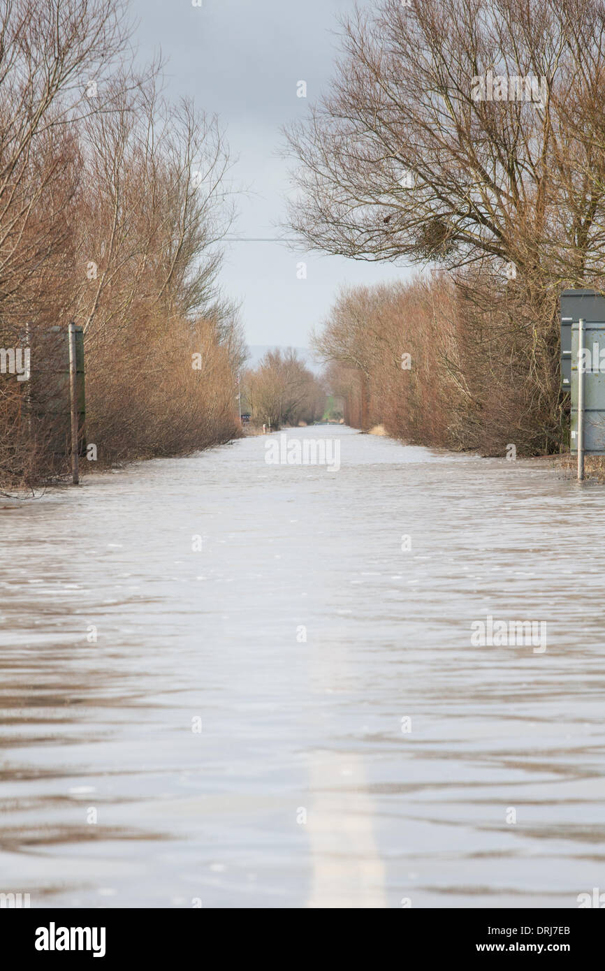 Burrowbridge, Somerset, Großbritannien. 27. Januar 2014 Die A361 von Burrowbridge bis Taunton bleibt während der umfangreichen Überschwemmungen auf den Somerset-Ebenen überflutet Stockfoto