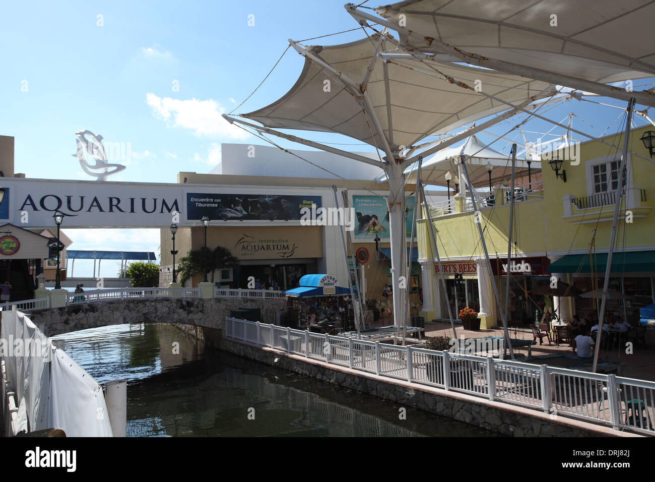 Das Aquarium im Einkaufszentrum La Isla, Cancun, Mexiko Stockfoto