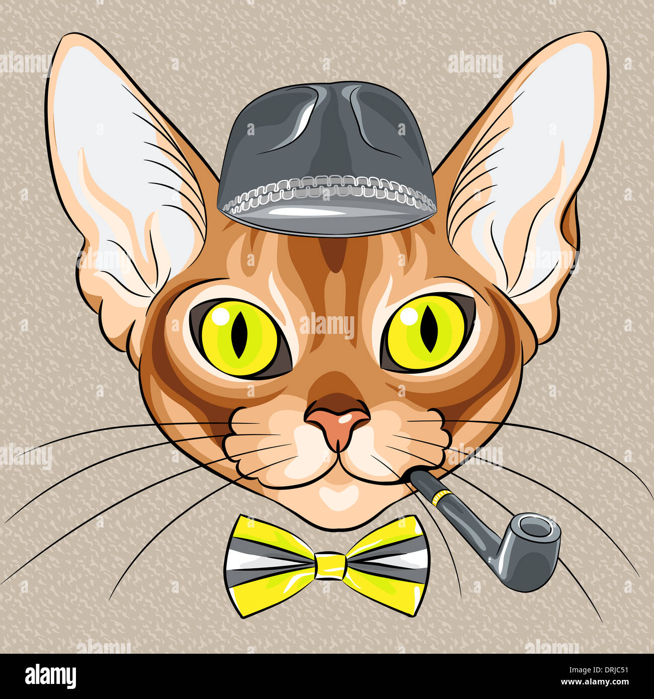 Vektor Farbskizze des roten Cartoon Hipster Katzenrasse Abessinier Stockfoto