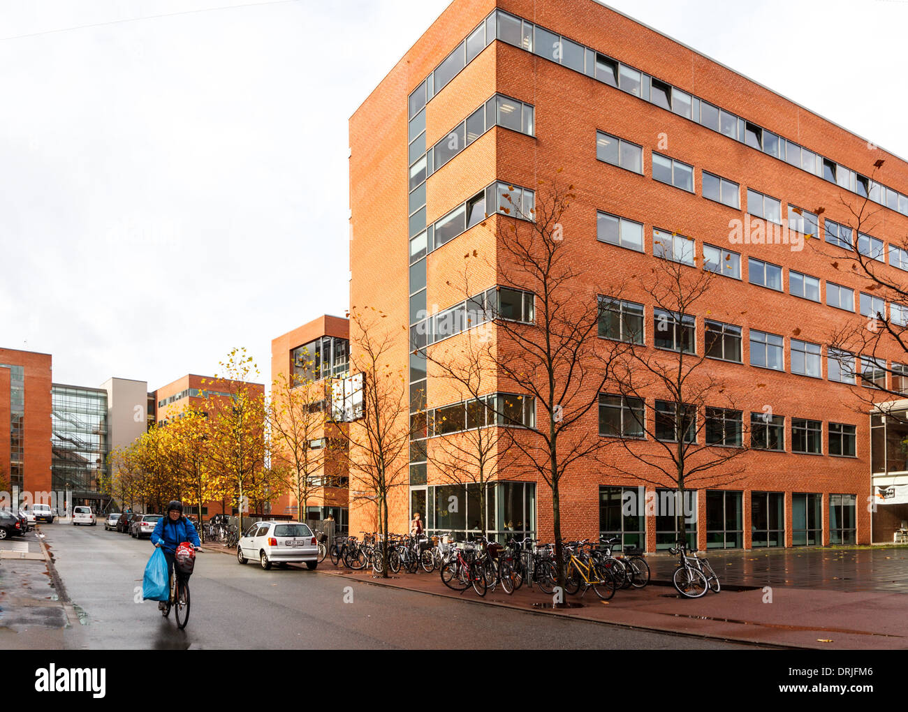Aarhus oder Aarhus Universität in Dänemark mit Radfahrer Stockfoto