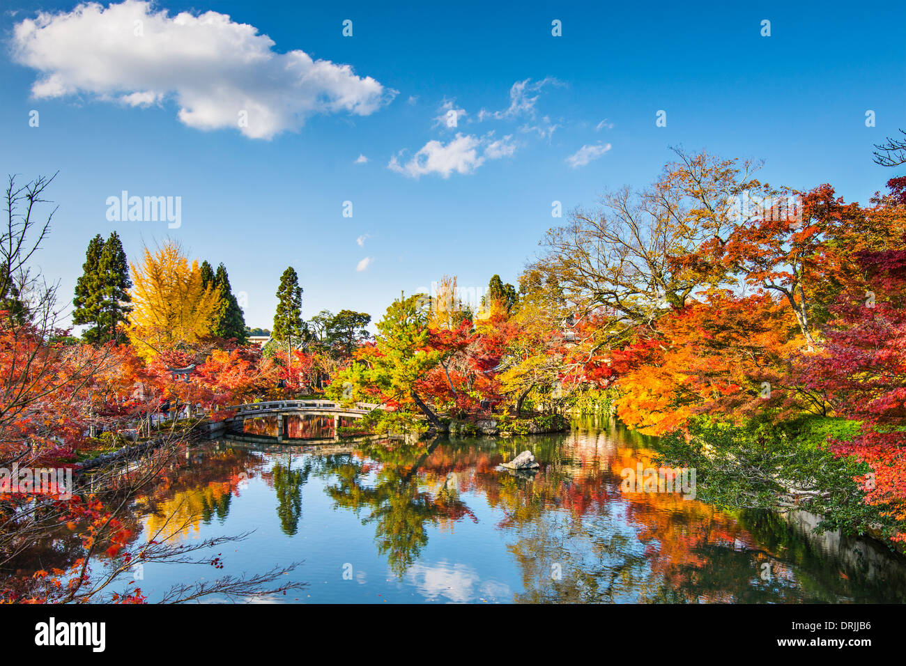 Kyoto, Japan am Teich und Brücke der Eikando Tempel im Herbst. Stockfoto