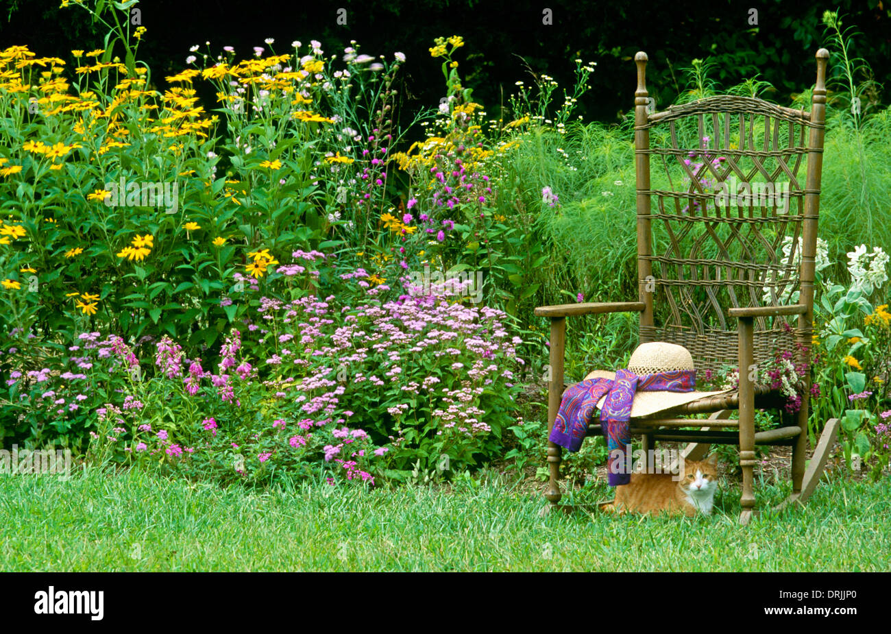 Ihren Garten mit ihren Hut und ihre gelbe Katze im Sommer, in Missouri Stockfoto