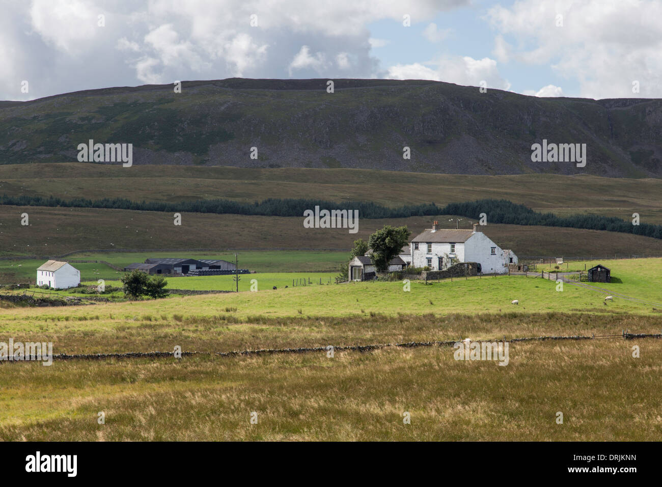 Ein Hochland Bauernhof im oberen Teesdale in der Nähe von Alston, County Durham, England, UK Stockfoto