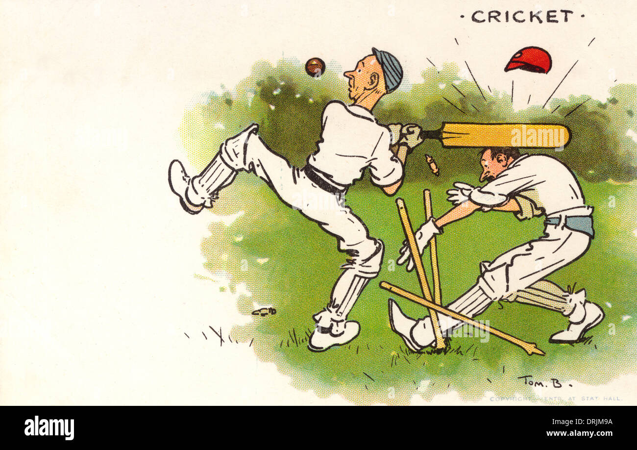Humorvolle Cricket-Postkarte - schlug Wicketkeeper Stockfoto