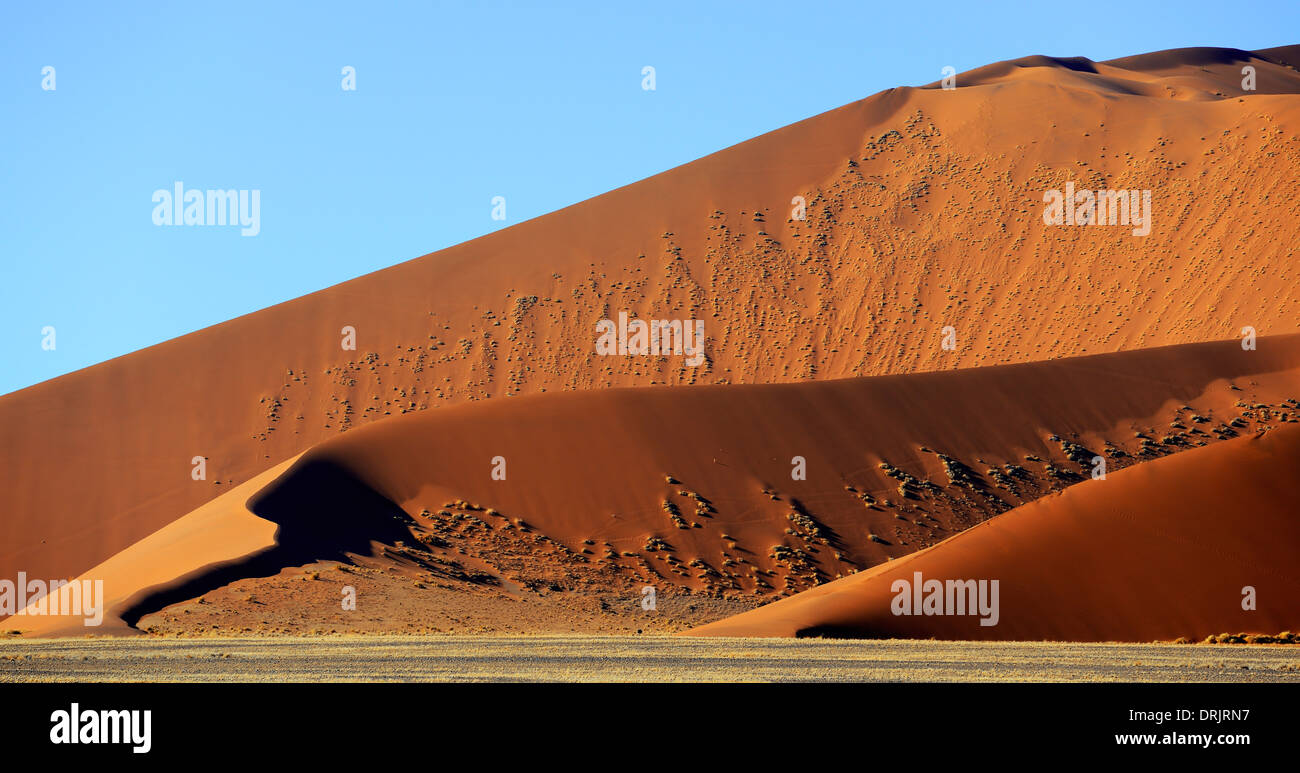 gigantische Sanddünen in der ersten Morgen Licht, Namib Naukluft Nationalpark, Sossusvlei, Namibia, Afrika, Riesige Sandduenen ich Stockfoto