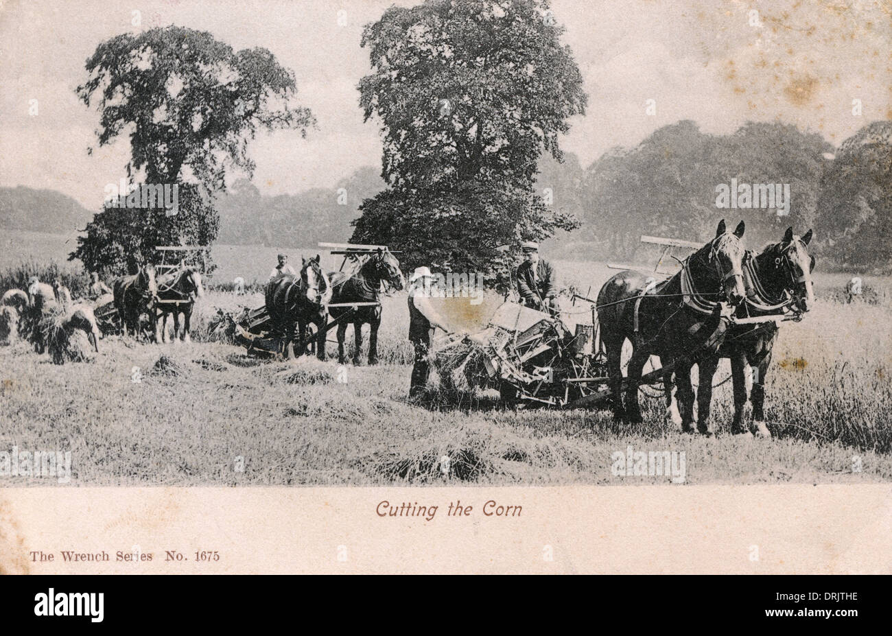 Pferdeerntemaschine Stockfotos Und -Bilder Kaufen - Alamy