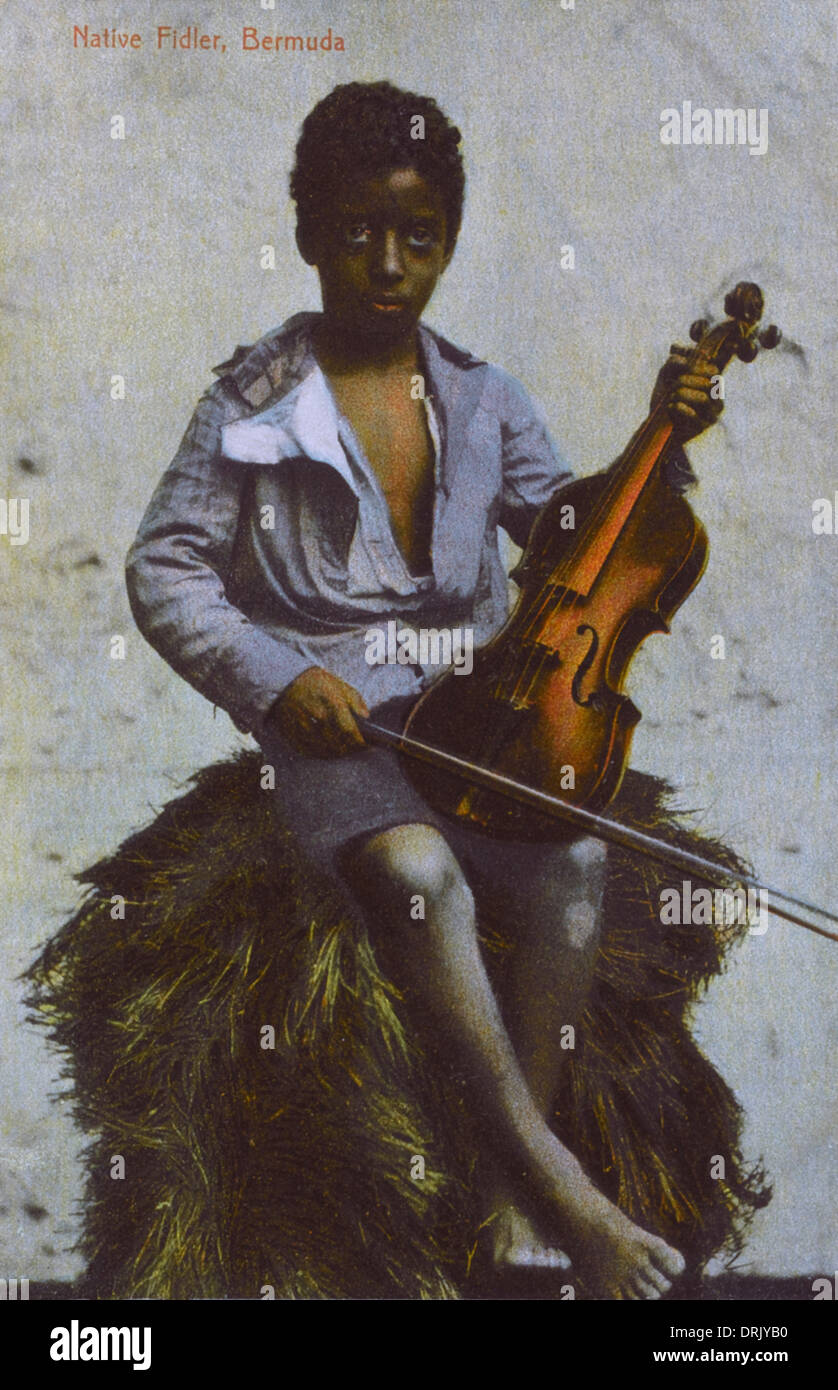 Junge Geiger, Bermuda Stockfoto