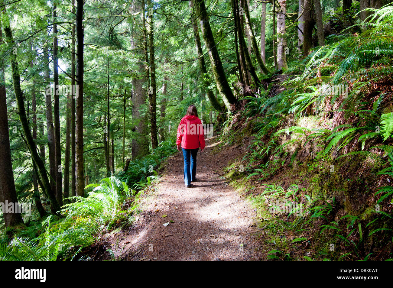 Frau Wandern auf forstweg in der Oregon Coast Range in der Nähe von Dornbirn (MR) Stockfoto