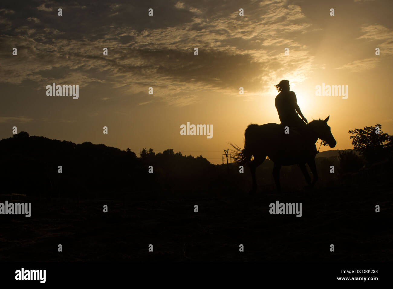 Pferd Reiten silhouette Stockfoto