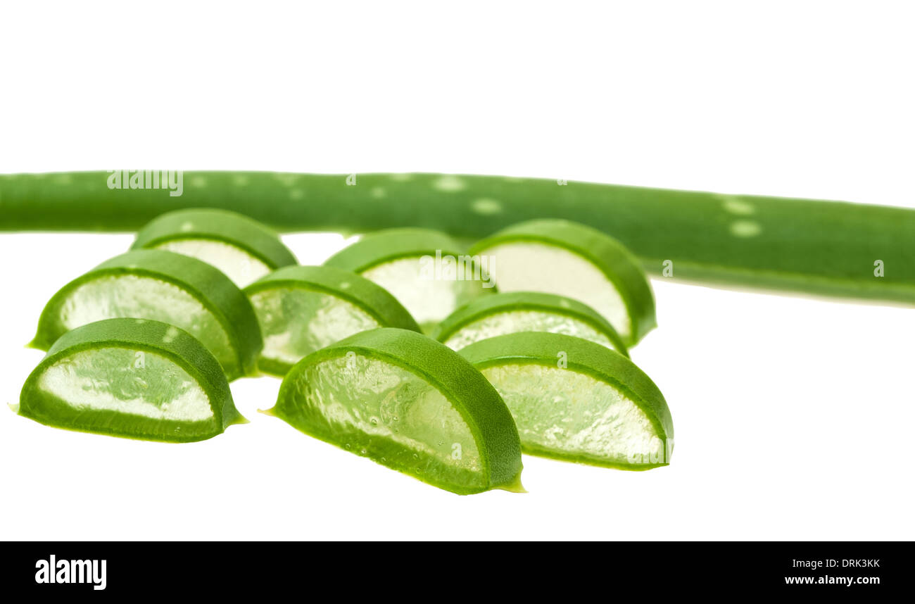 Aloe Vera isoliert auf weiss Stockfoto