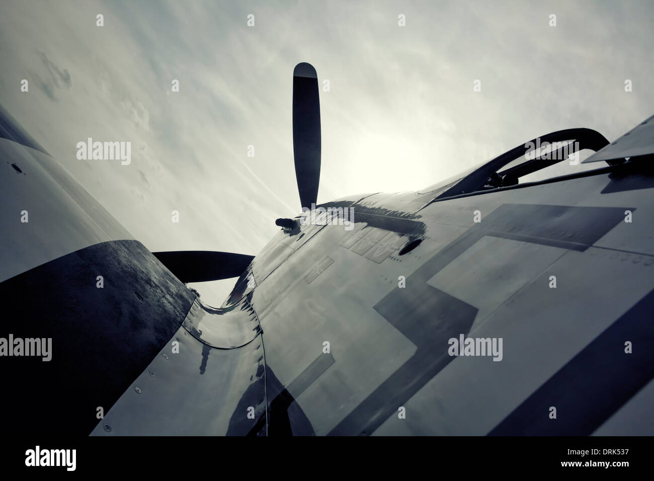 P51D Mustang Flugzeug Stockfoto