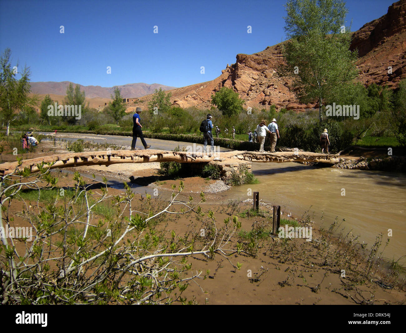 Touristen überqueren Sie eine Brücke über Wadi/Fluss Todra von einer Oase in das Tal von einem tausend Kasbahs, Südmarokko, Nordafrika Stockfoto