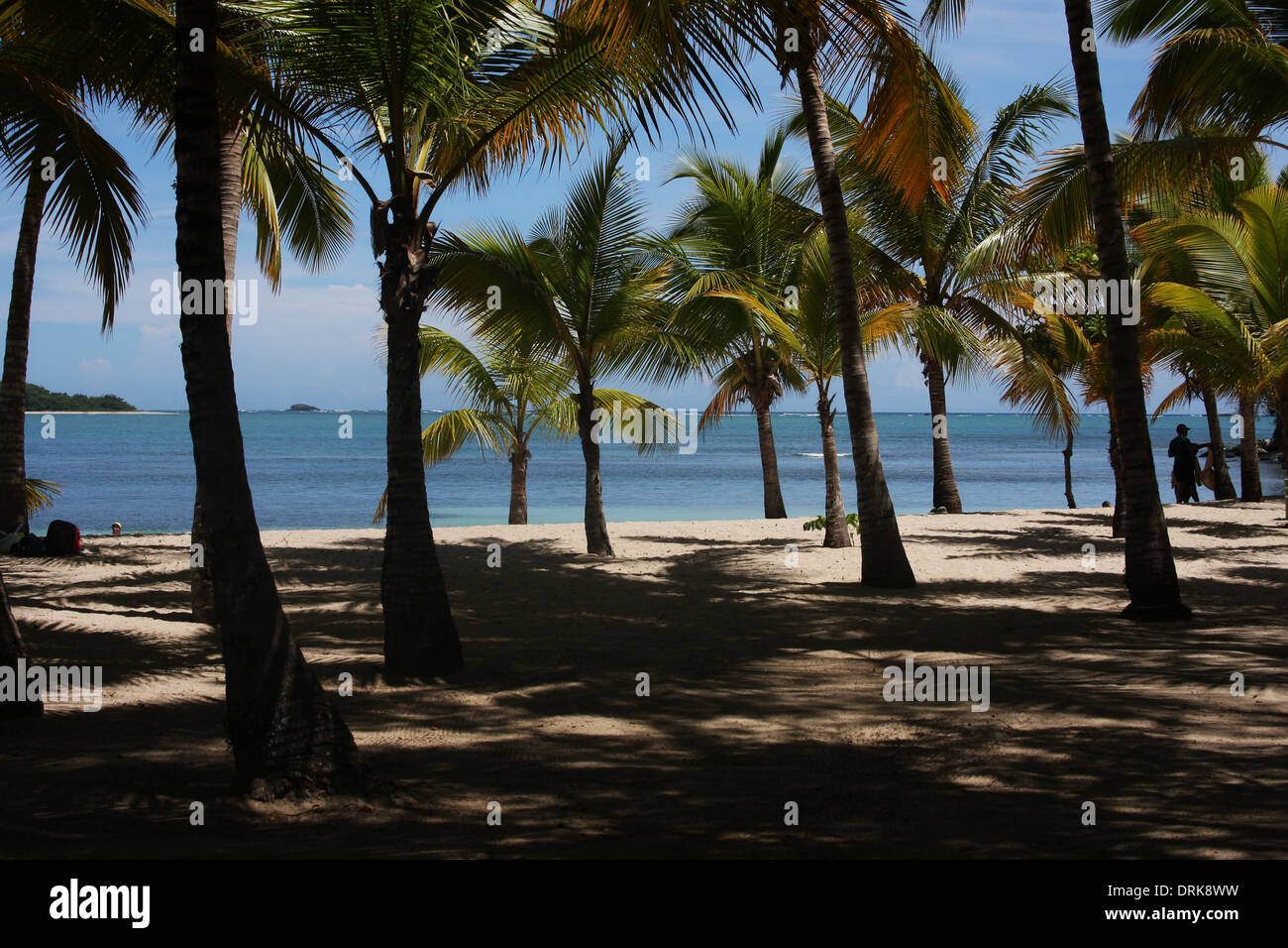 Ein Paradiesstrand in Puerto Plata, Dominikanische Republik Stockfoto