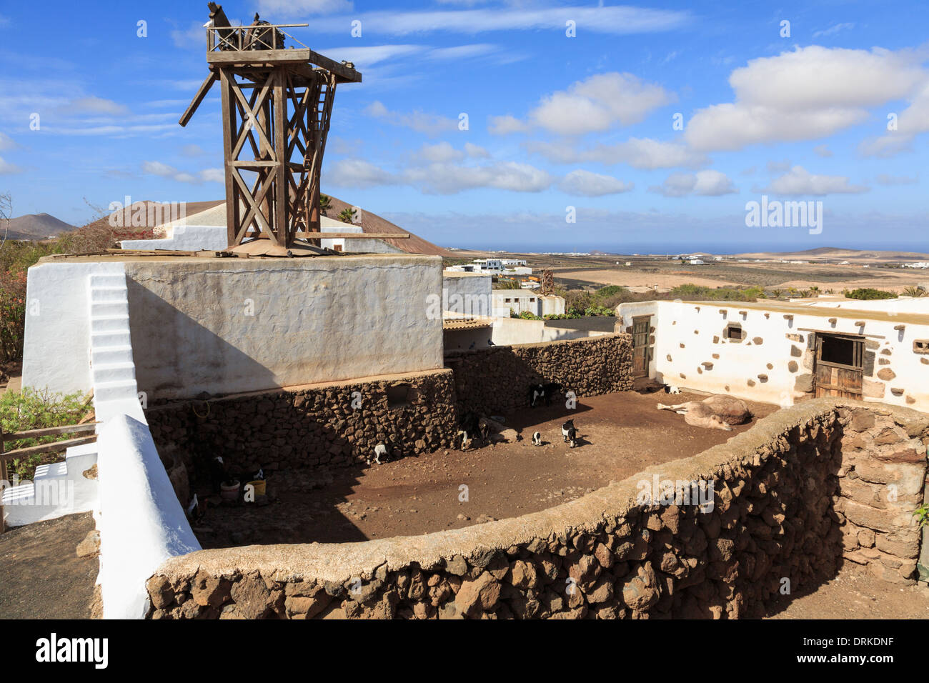 Tier-powered Mühle und Gehäuse im landwirtschaftlichen Museum Museo Agricola El Patio auf einem Bauernhof datiert 1840. Lanzarote, Kanarische Inseln Stockfoto