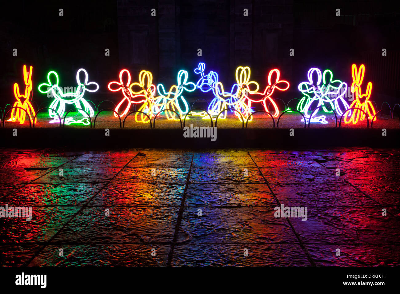 Neon Hunde Walker Hof Lumiere Derry Londonderry Nordirland November bis Dezember 2013 Stadtkultur Stockfoto