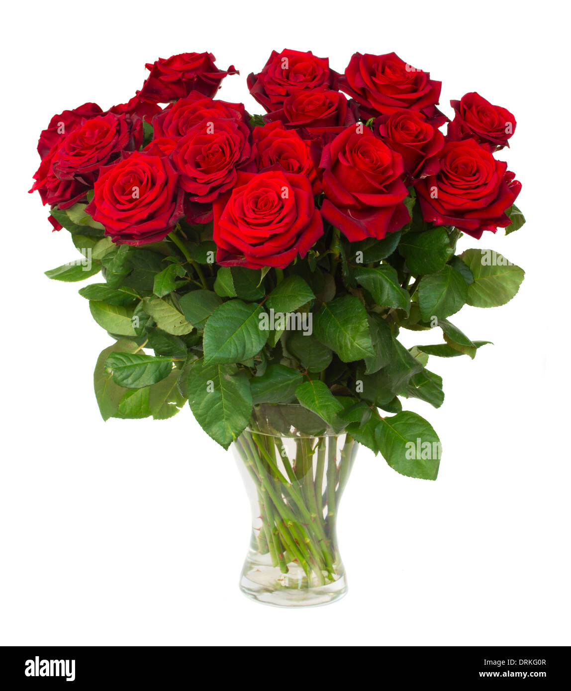 Bouquet von blühenden dunkel rote Rosen in vase Stockfoto