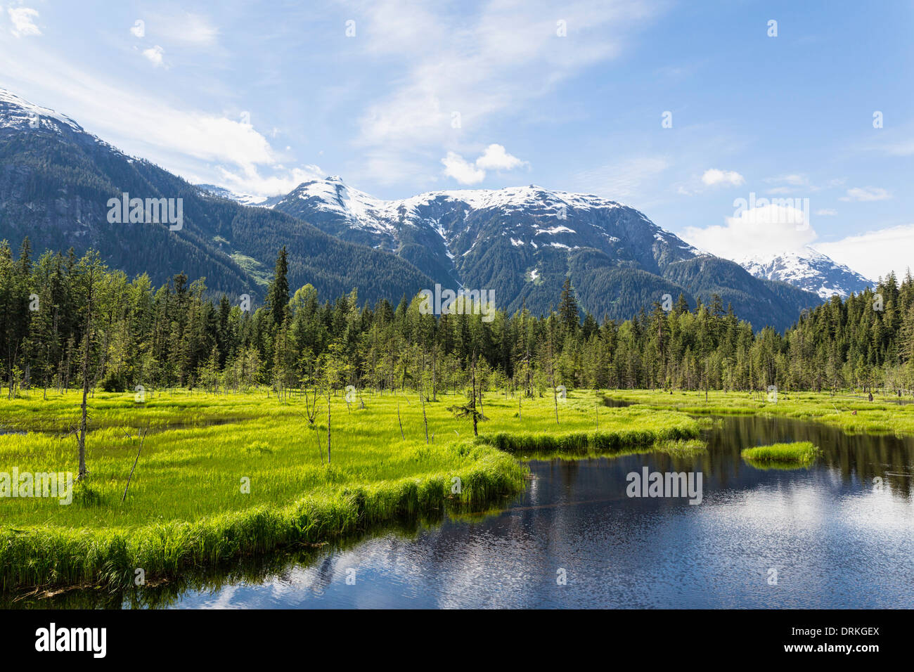 USA, Alaska, Hyder, Stewart River Landschaft am Fish Creek Stockfoto