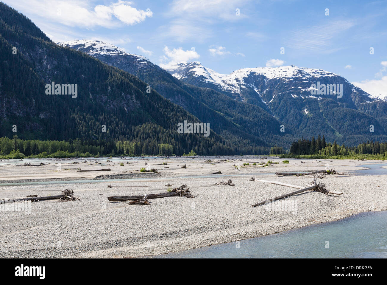 USA, Alaska, Hyder, Treibholz am Lachsfluss Stockfoto