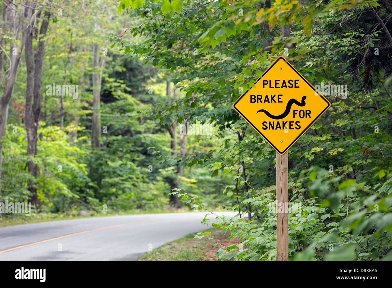"Bitte Bremse für Schlangen" Straßenschild, Killbear Provincial Park, Ontario, Kanada Stockfoto