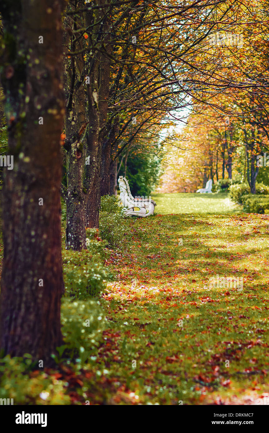 Die Allee in einem botanischen Garten. Stockfoto