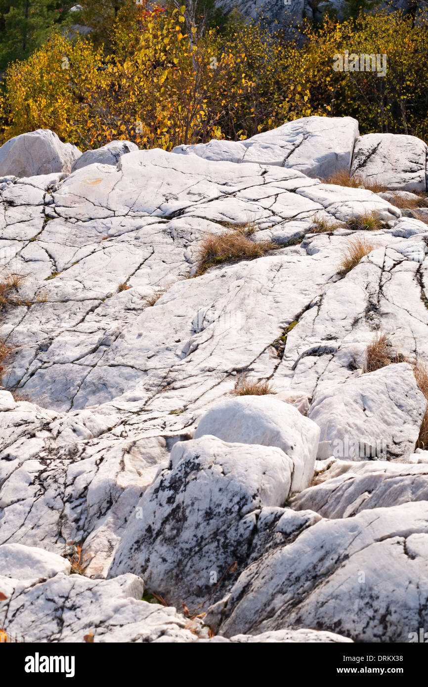 Ein Beispiel für White Quarzit-Felsen in Killarney Provincial Par, Ontario, Kanada. Stockfoto