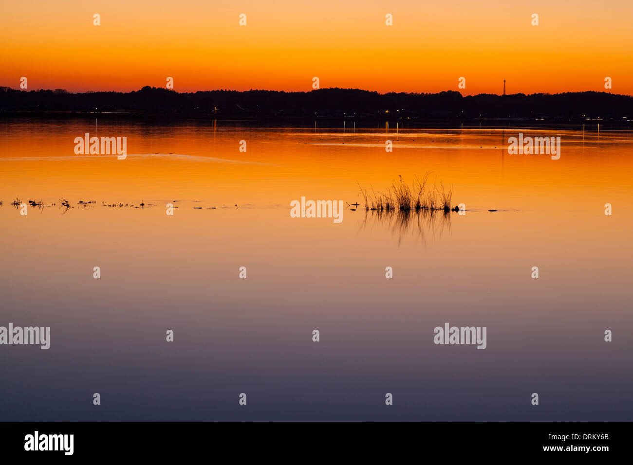 See Kasumigaura bei Sonnenuntergang, Ibaraki, Japan Stockfoto