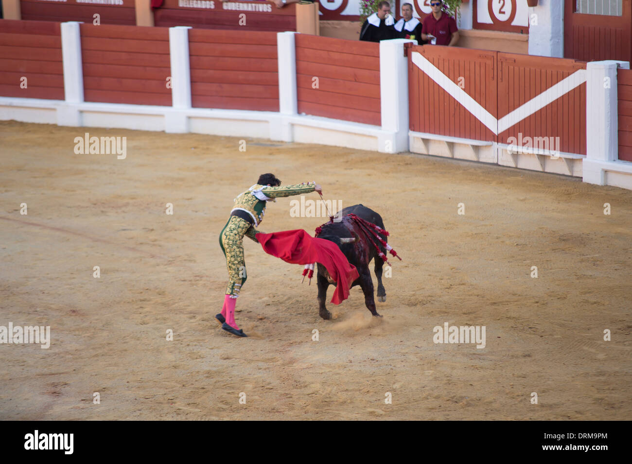 Stierkampf in Gijon, Spanien Stockfoto