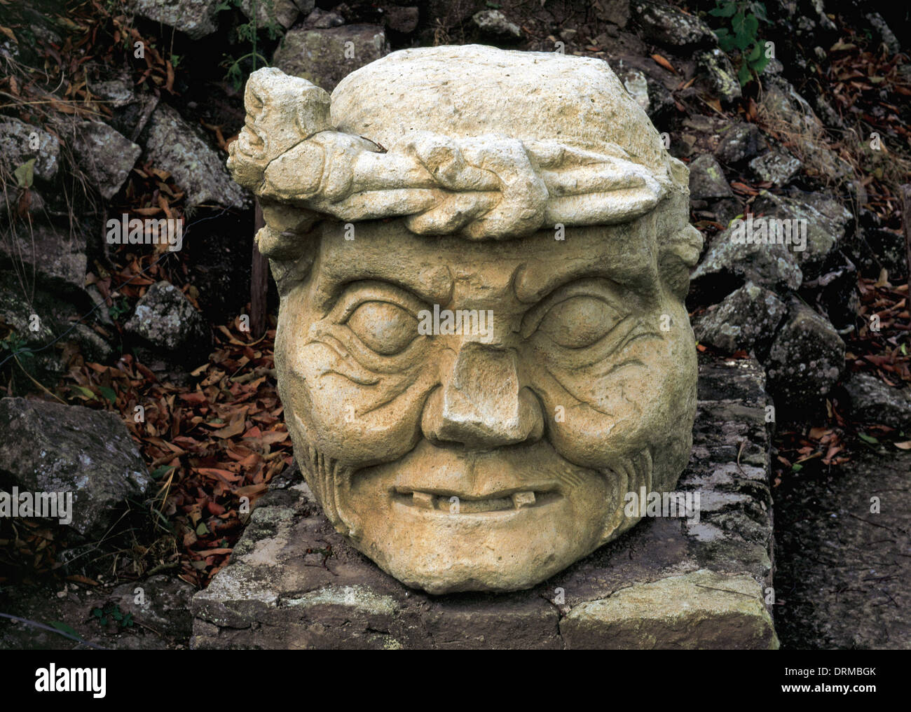 Präkolumbische Kunst. Maya. Archäologische Stätte von Copan. Stein-Kopf eines alten Mannes. Honduras. Stockfoto