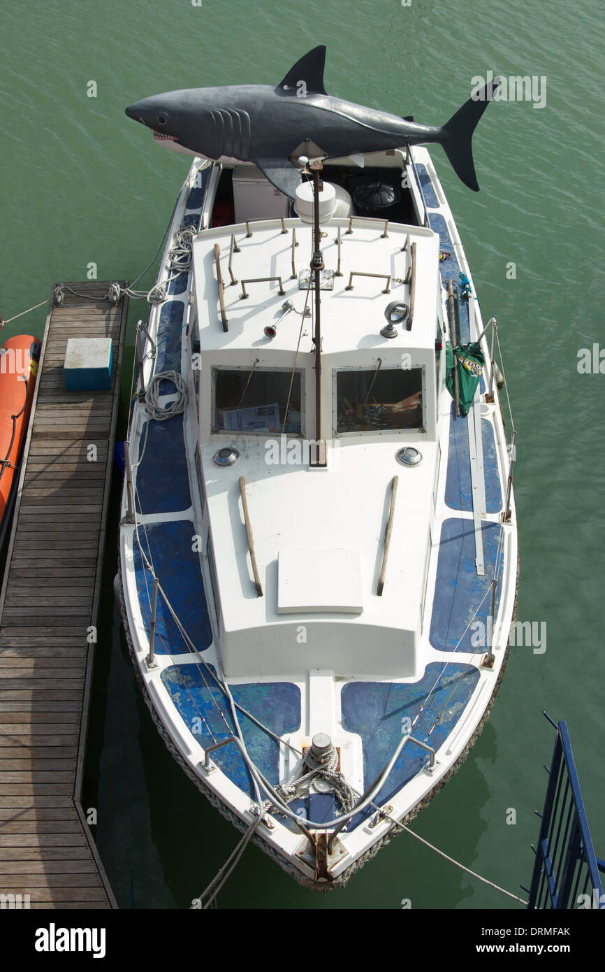 Angelboot/Fischerboot mit einem großen Kunststoff-Hai auf der Rückseite in Brighton Marina, Großbritannien Stockfoto