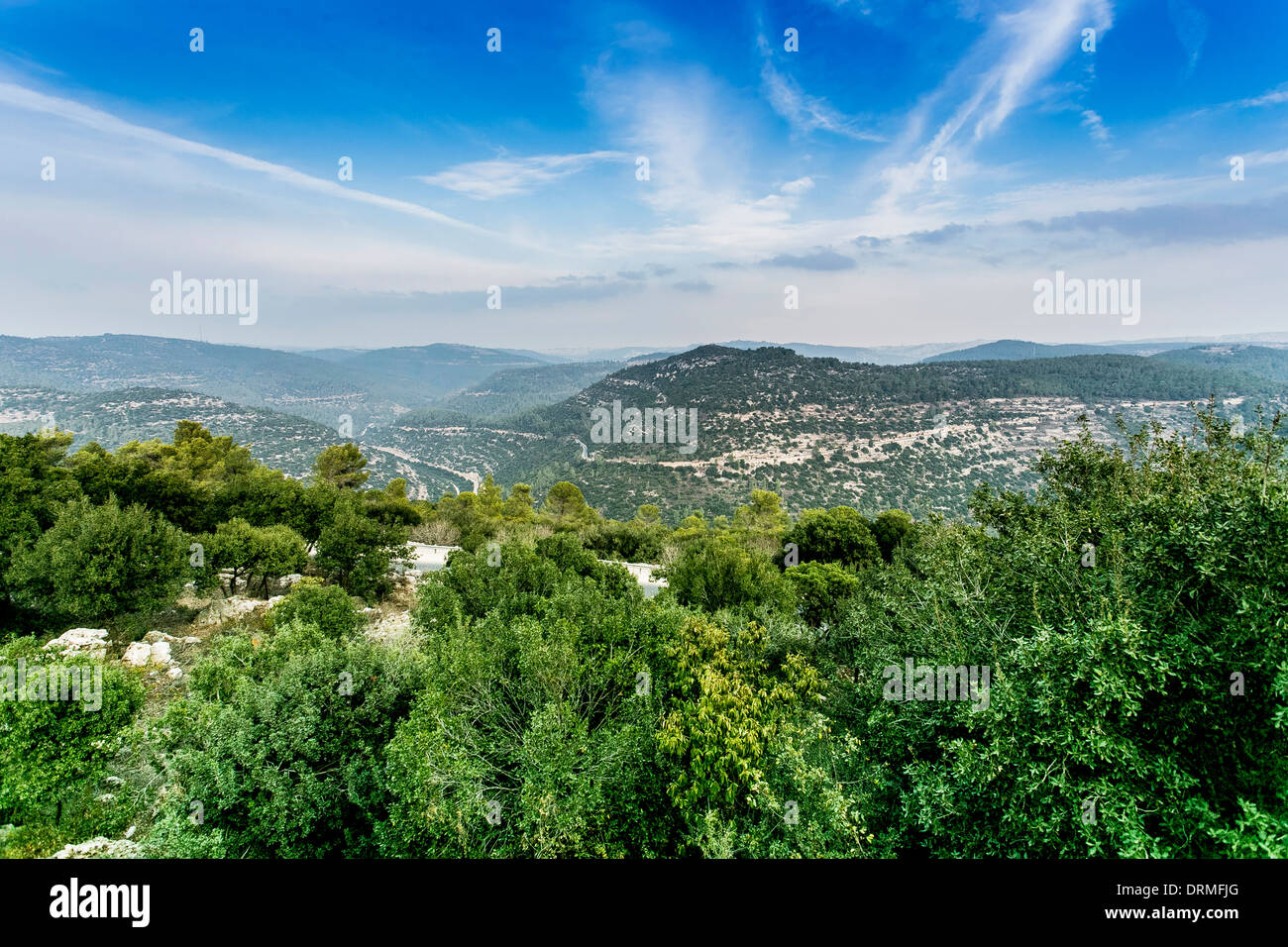 Israel, judäischen Voralpen-Landschaft, in der Nähe von Jerusalem, fotografiert im Moshav Nes Harim Stockfoto