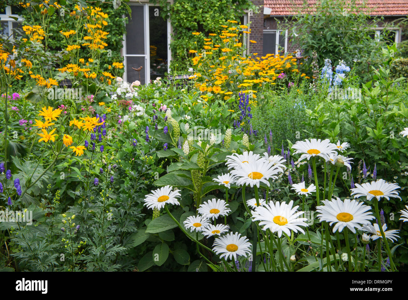 Bauerngarten in Elsten, Niedersachsen, Deutschland Stockfoto