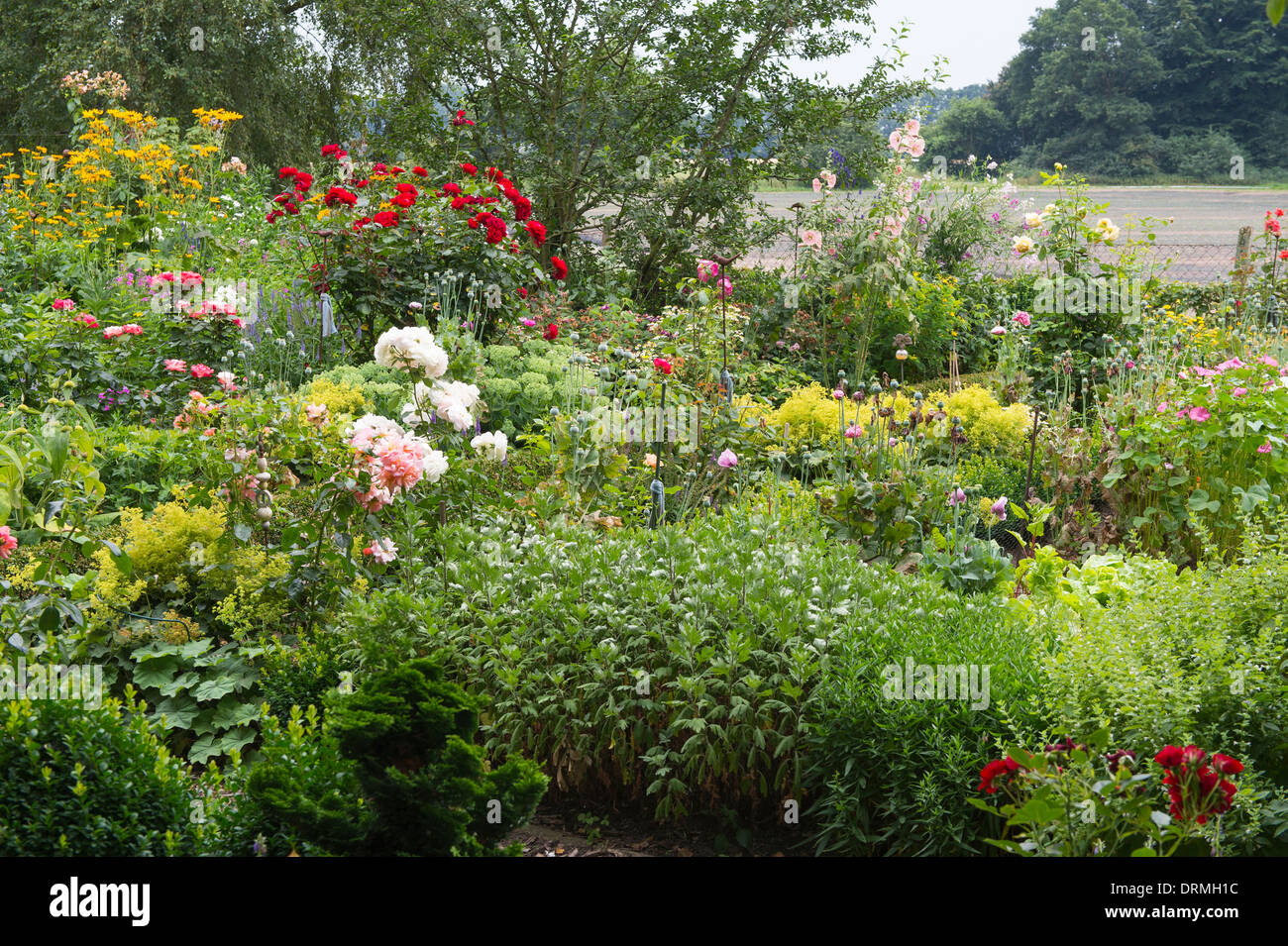 Bauerngarten in Elsten, Niedersachsen, Deutschland Stockfoto
