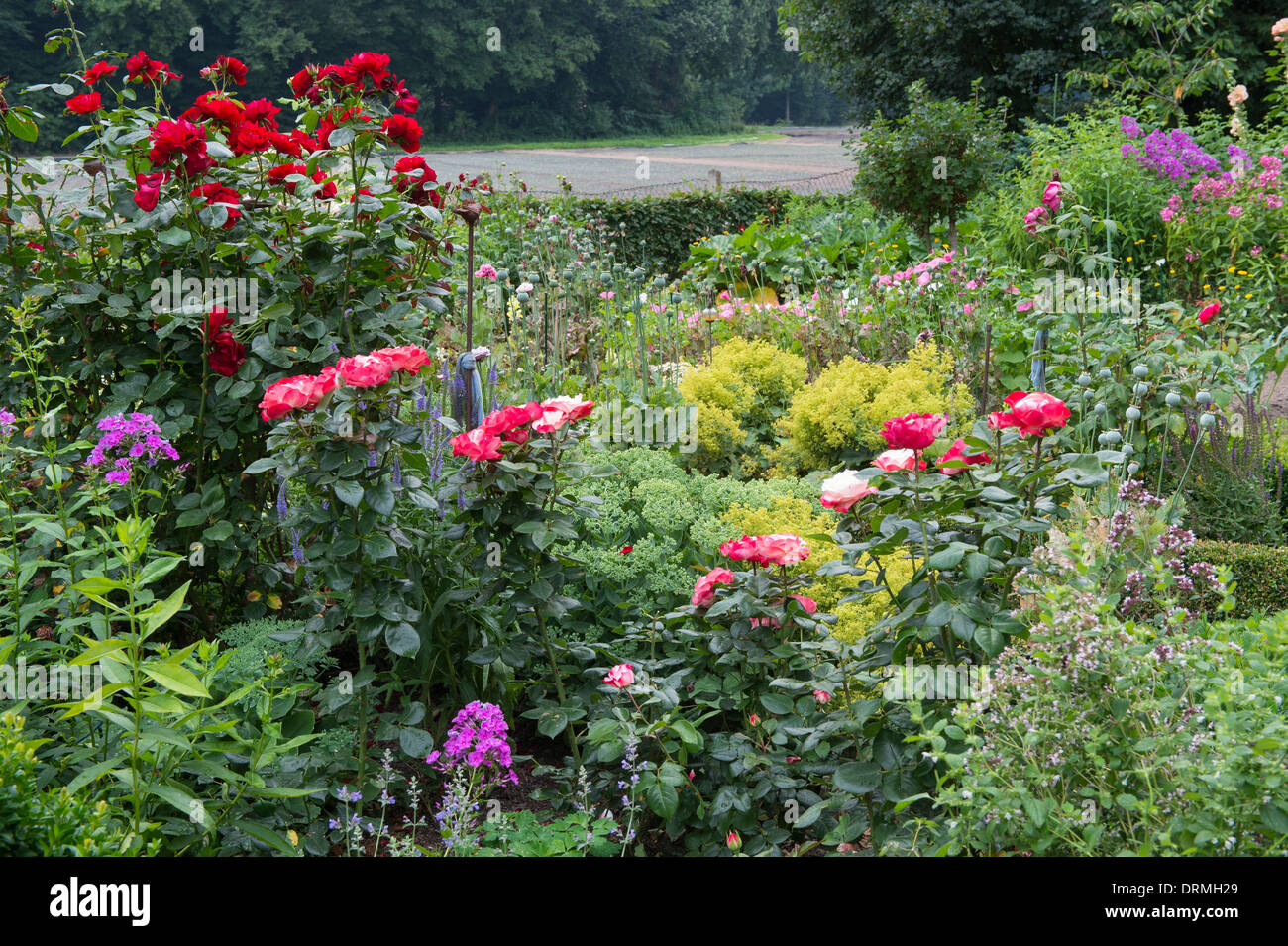 Bauerngarten in Elsten, Niedersachsen, Deutschland Stockfoto
