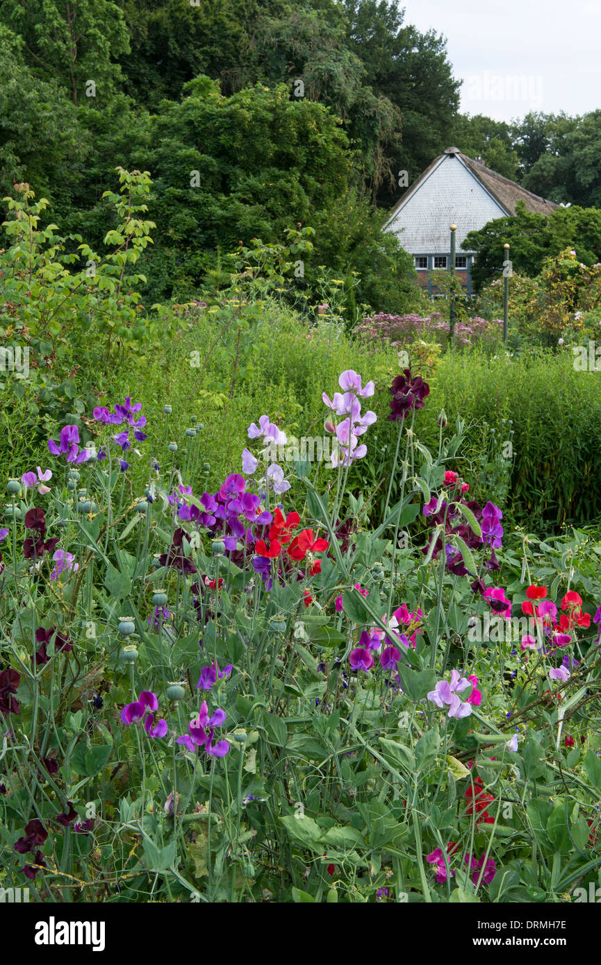 Bauerngarten in Elsten, Niedersachsen, Deutschland Stockfoto