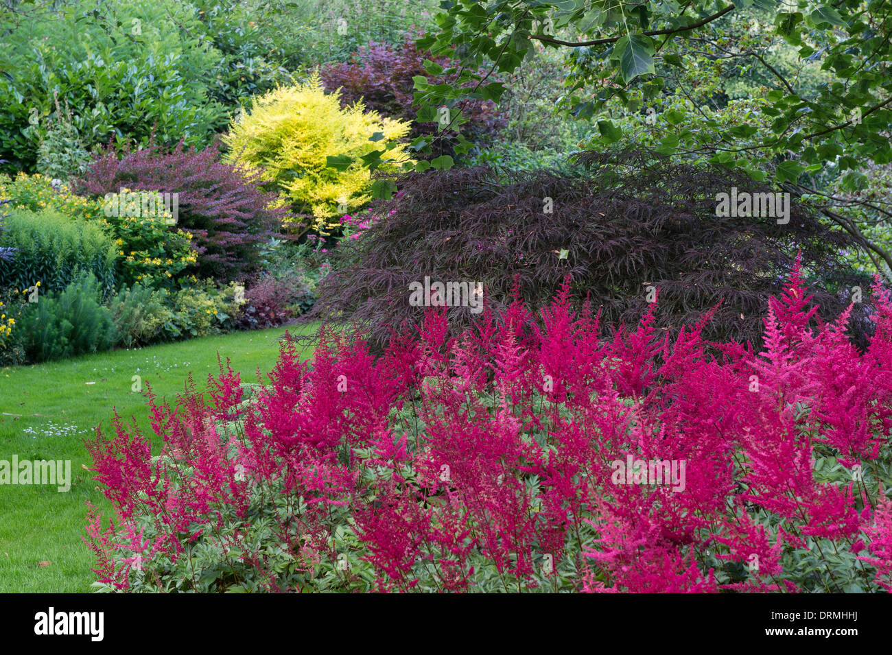 Garten in Visbek, Niedersachsen, Deutschland Stockfoto
