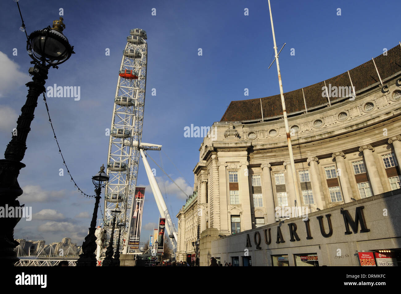 Das London Eye und London Aquarium an der Southbank London England Stockfoto