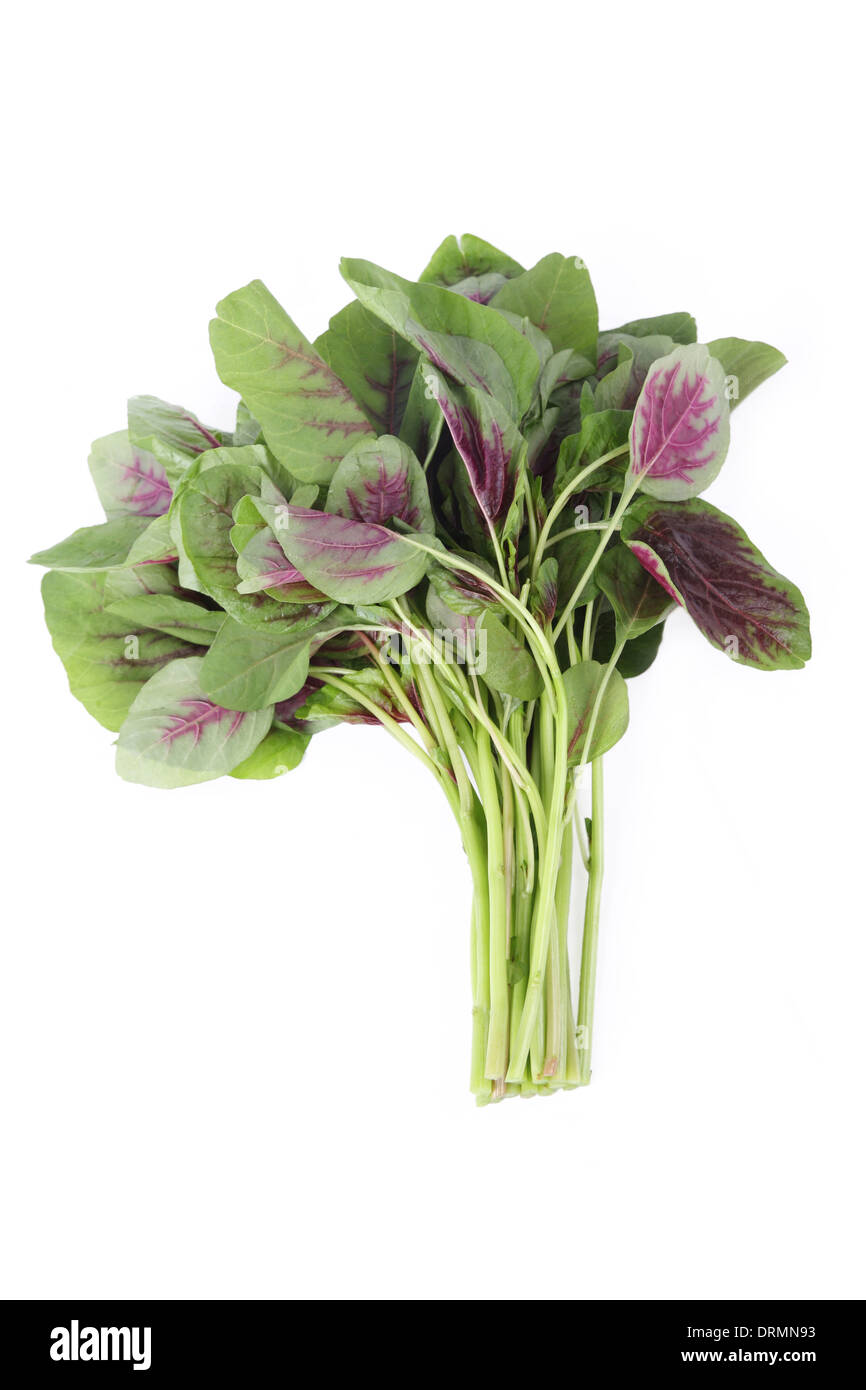 Amaranth-Gemüse Stockfoto