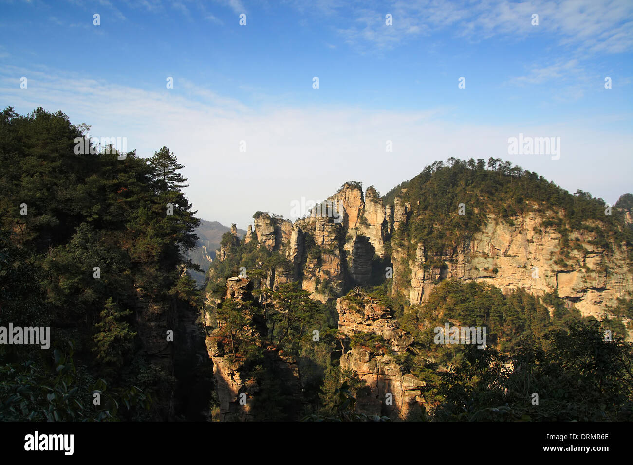 Waldpark Zhangjiajie Stockfoto