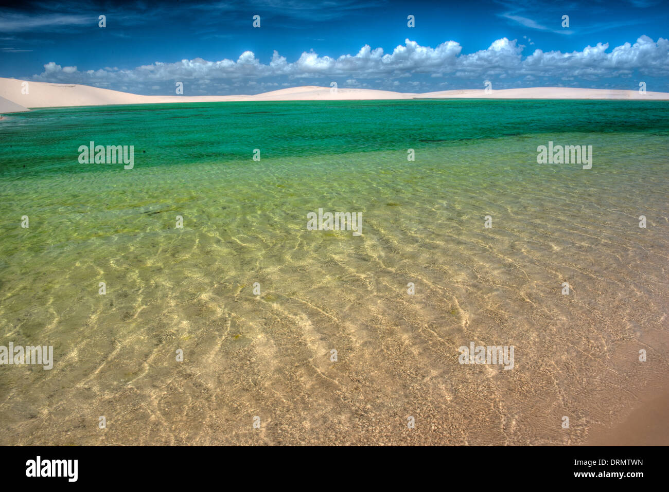 Grüne Regenwasser Teich gefangen in weißen Dünen, Lencois Maranhenses National Park, Brasilien, Atlantik Stockfoto