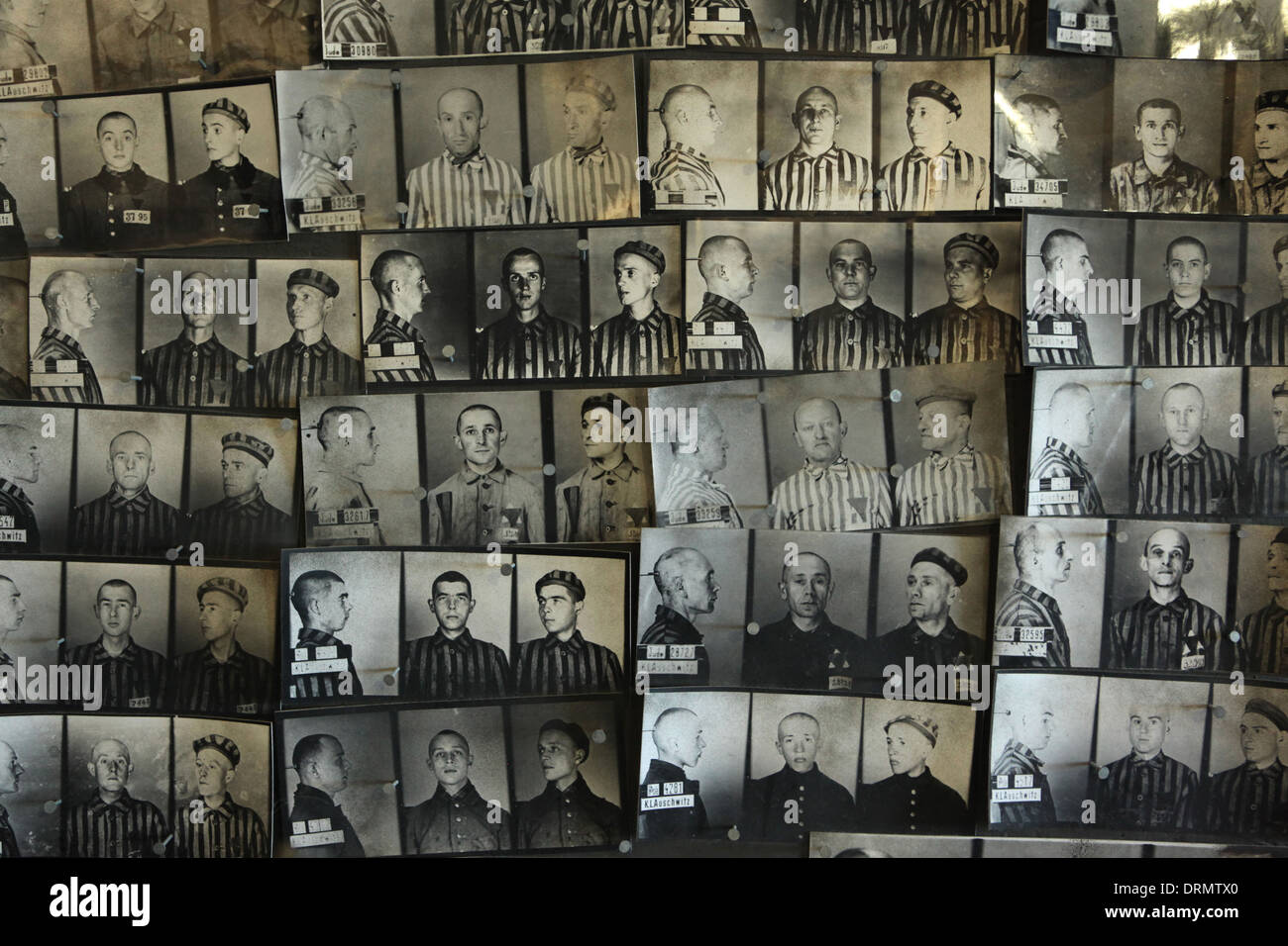 Gefangenen ID Fotos an die Gedenkausstellung im KZ Buchenwald in der Nähe von Weimar, Deutschland. Stockfoto