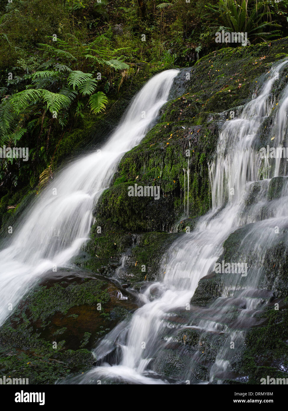 Ansicht der Braut Schleier fallen, in die Catlins, Southland, Neuseeland gefunden. Stockfoto