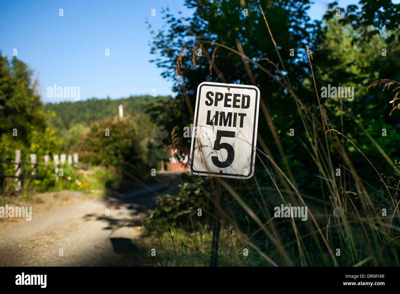 Foto von Tempolimit Schild in Tahuya, Washington State.  Aufgenommen während des Tages, hell erleuchtet, geringe Schärfentiefe. Stockfoto