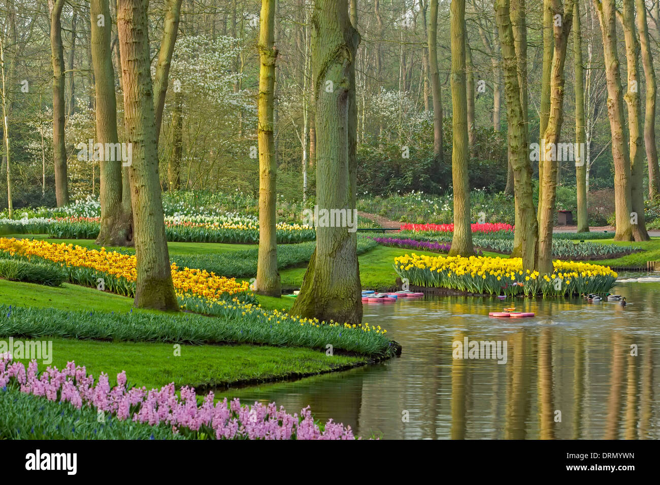 Gärten, Bäumen reflektiert auf Teich, Keukenhof Gärten in der Nähe von Lisse, Niederlande Stockfoto