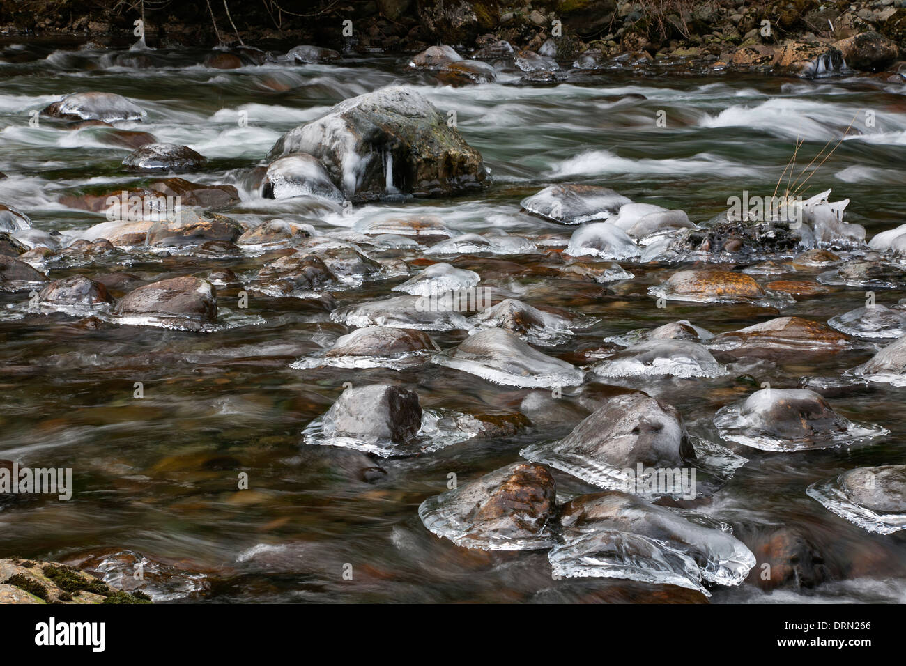 WASHINGTON - Eis rimed Felsen in der South Fork Snoqualmie River in der Nähe von Olallie State Park. Stockfoto