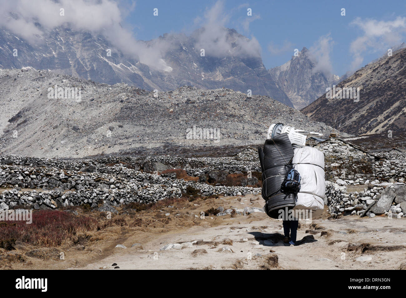 Carrying large load -Fotos und -Bildmaterial in hoher Auflsung  Alamy